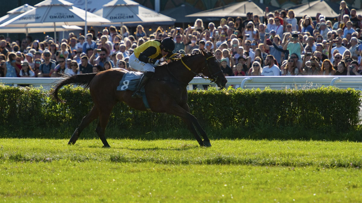 img: Czempioni Partynic zwyciężają we Włoszech