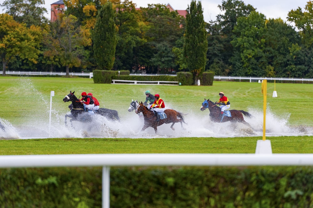 img: Ostatnie rozstrzygnięcia sezonu