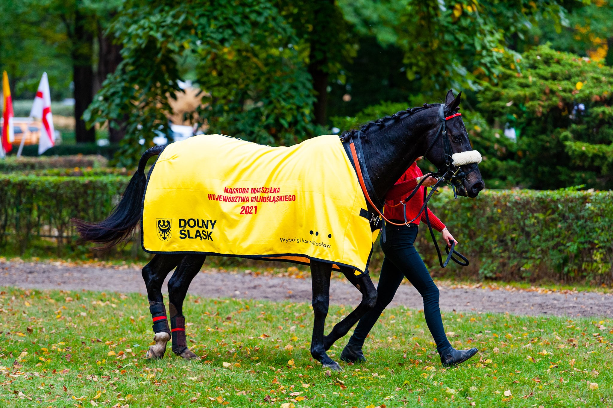 img: Najlepsi w sezonie 2021: Pavel Tuma – czempion trenerów w gonitwach przeszkodowych