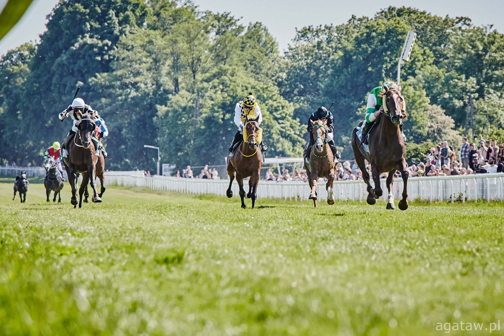img: Sezon 2021: Got De Lagarde zwycięzcą Al Khalediah Racing Festival 2021