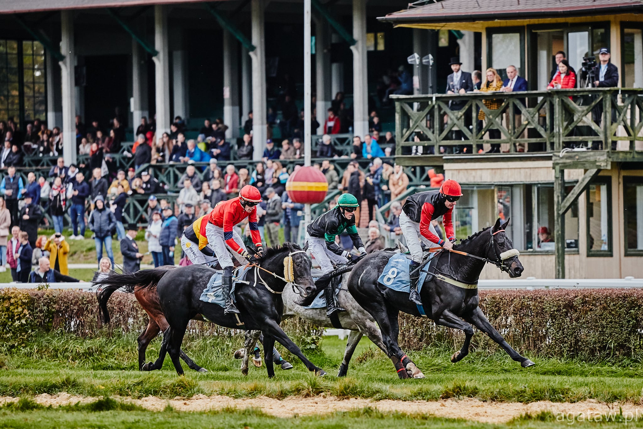 img: Sezon 2021: Najlepszym przeszkodowym czterolatkiem klacz Milsueldos