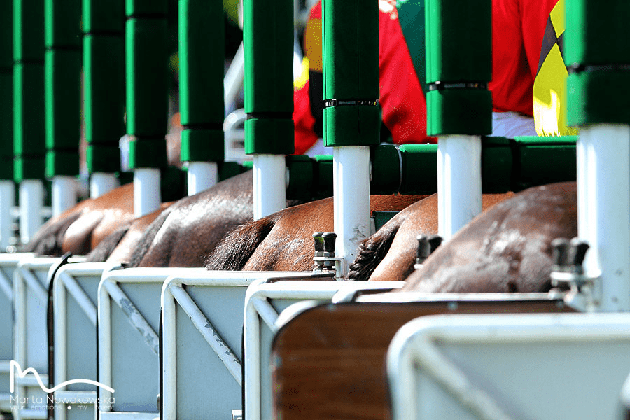 img: Longines International Jockeys’ Championship: Trzeci triumf Australijczyka