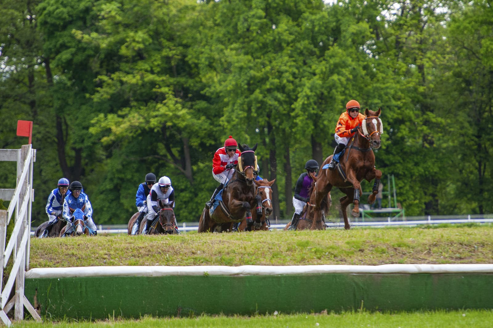 img: Cheltenham Festival: Tiger Roll po raz czwarty?