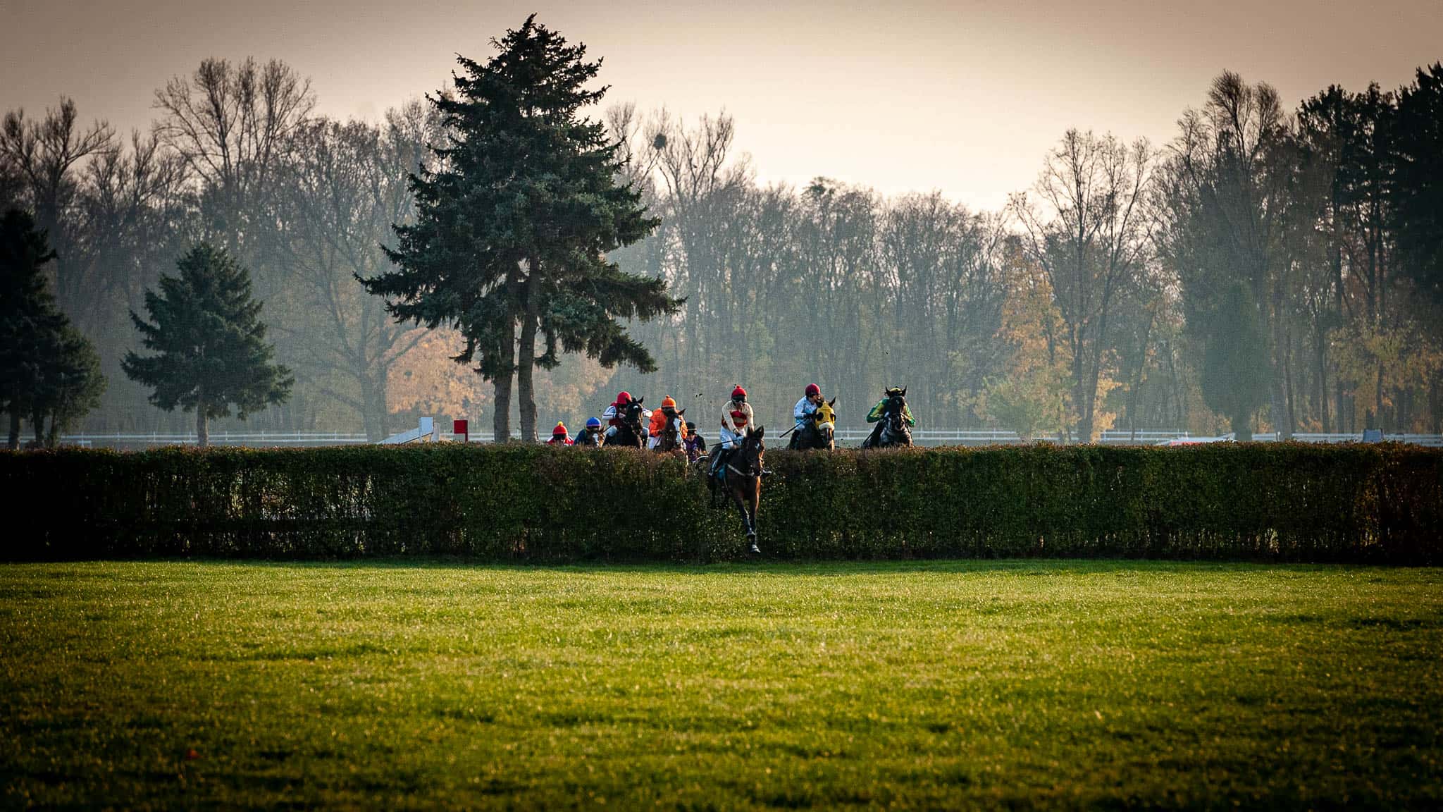 img: Złoty Puchar pełen gwiazd