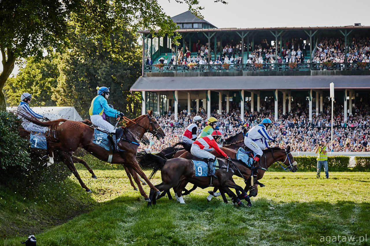 img: Wielka Pardubicka będzie bogatsza