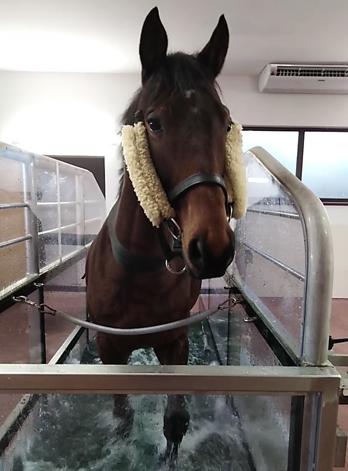 img: Haad Rin w Spa nabiera sił przed sezonem