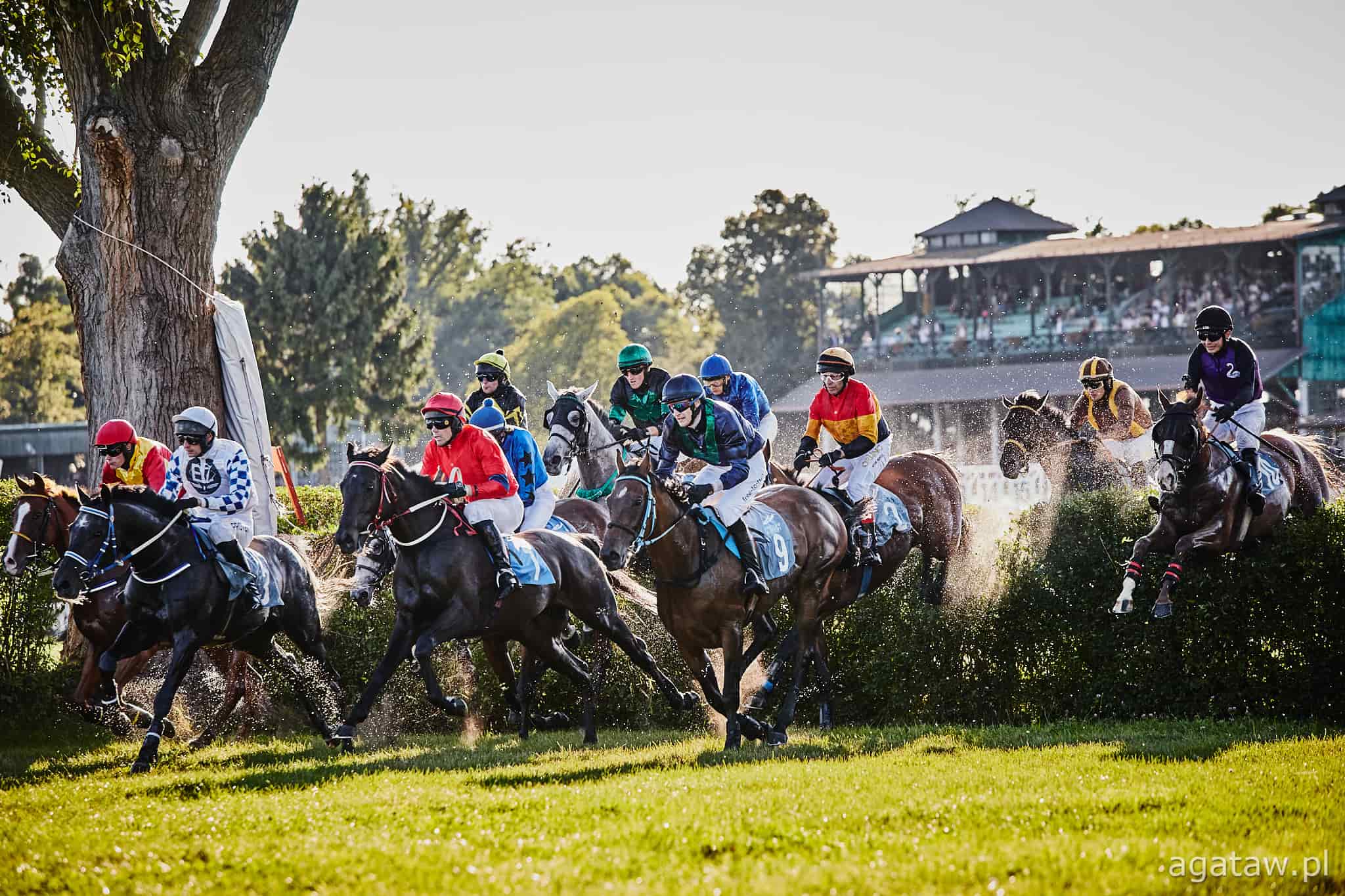 img: Przeszkodowy cykl w Slusovicach