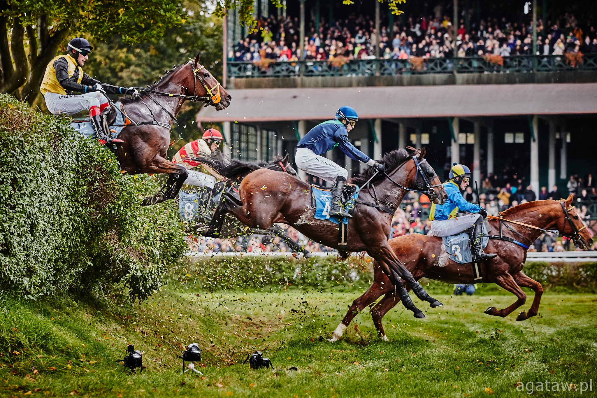 img: Spróbuje Larizano raz jeszcze?