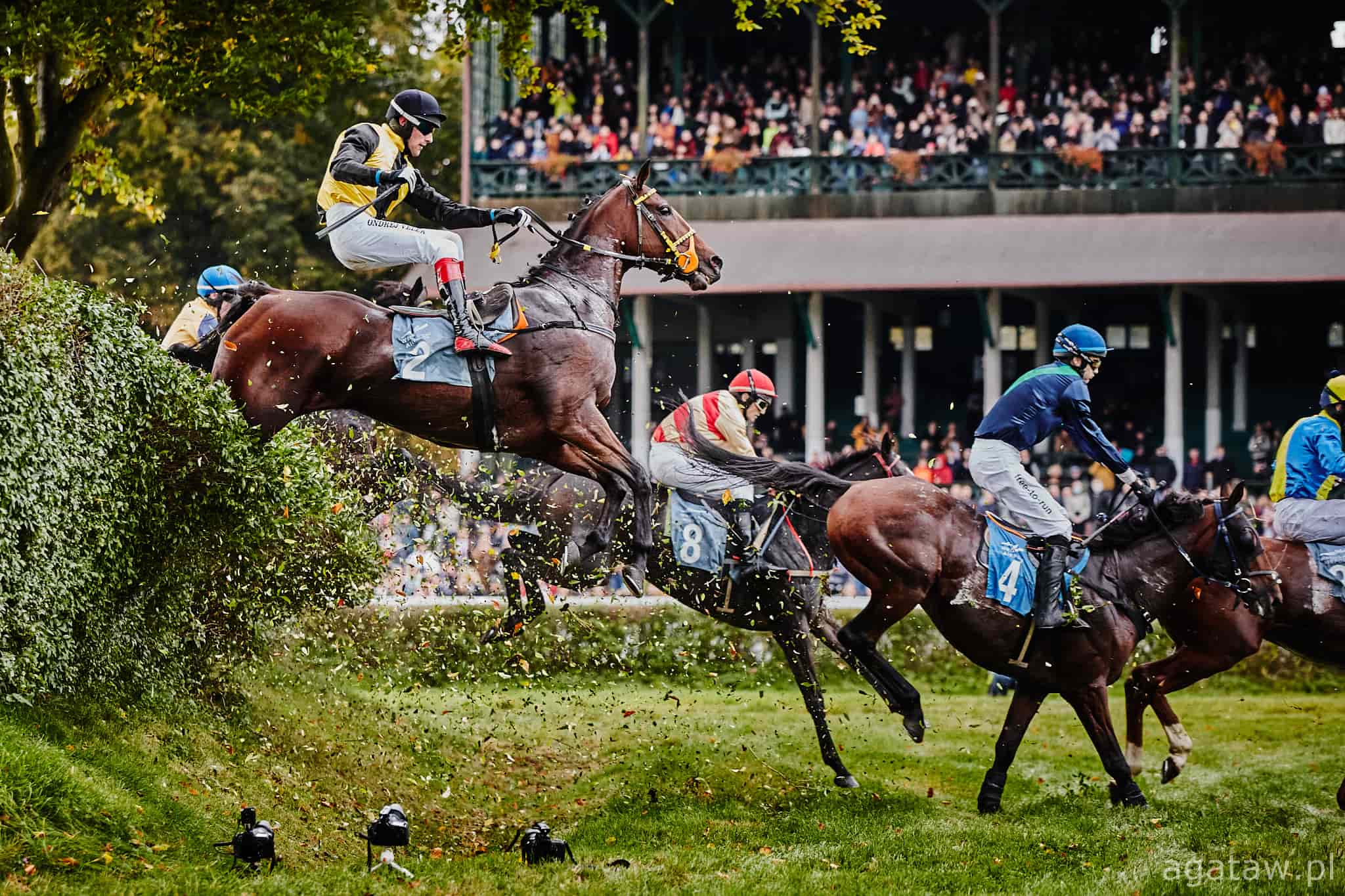 img: Hity sezonu w Czechach: Wielka Pardubicka i European Jockeys’ Cup