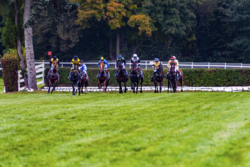 img: A Plus Tard i Rachael Blackmore ze Złotym Pucharem