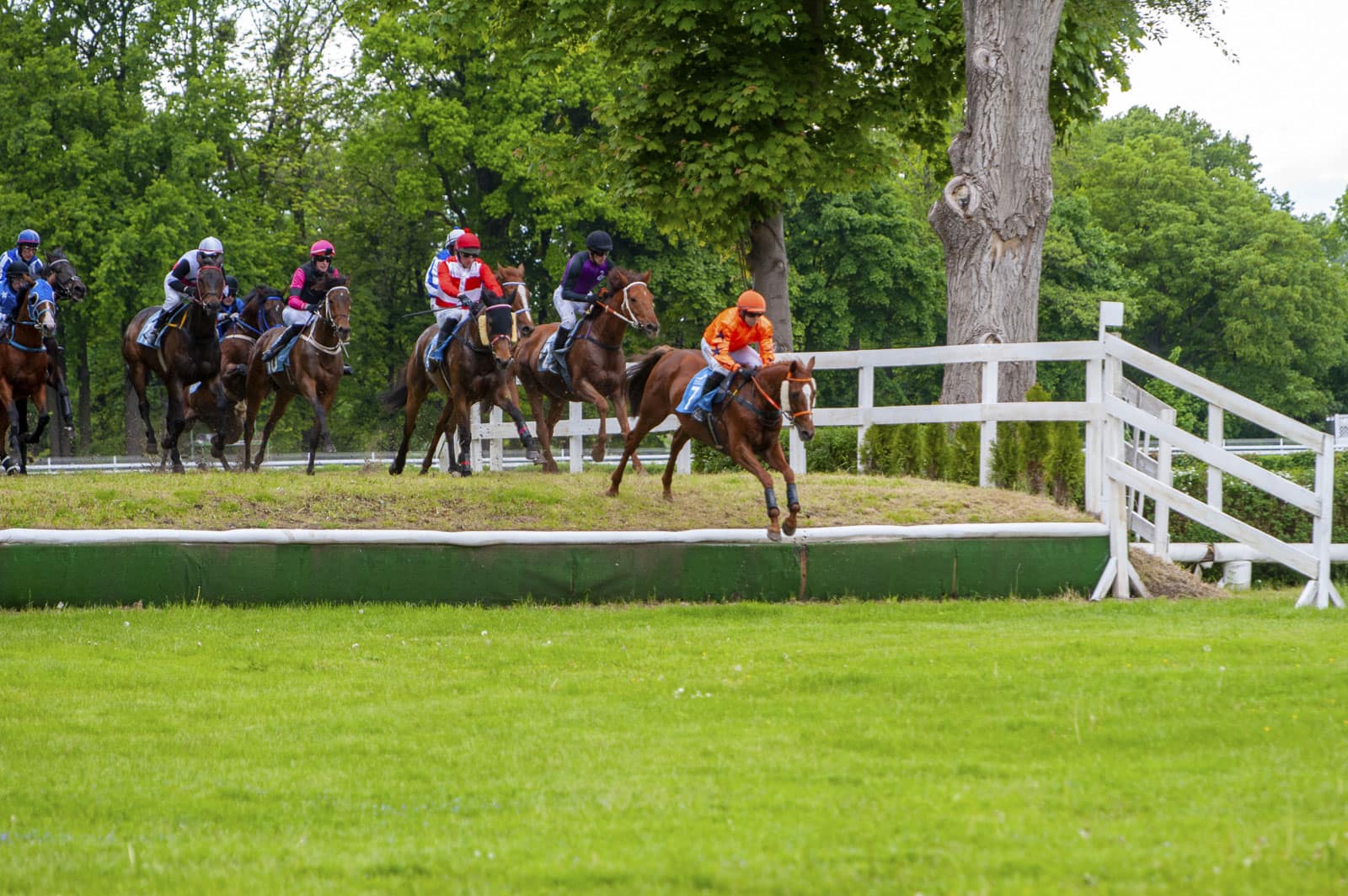 img: Champion Chase dla Energumene, Tiger Roll pokonany