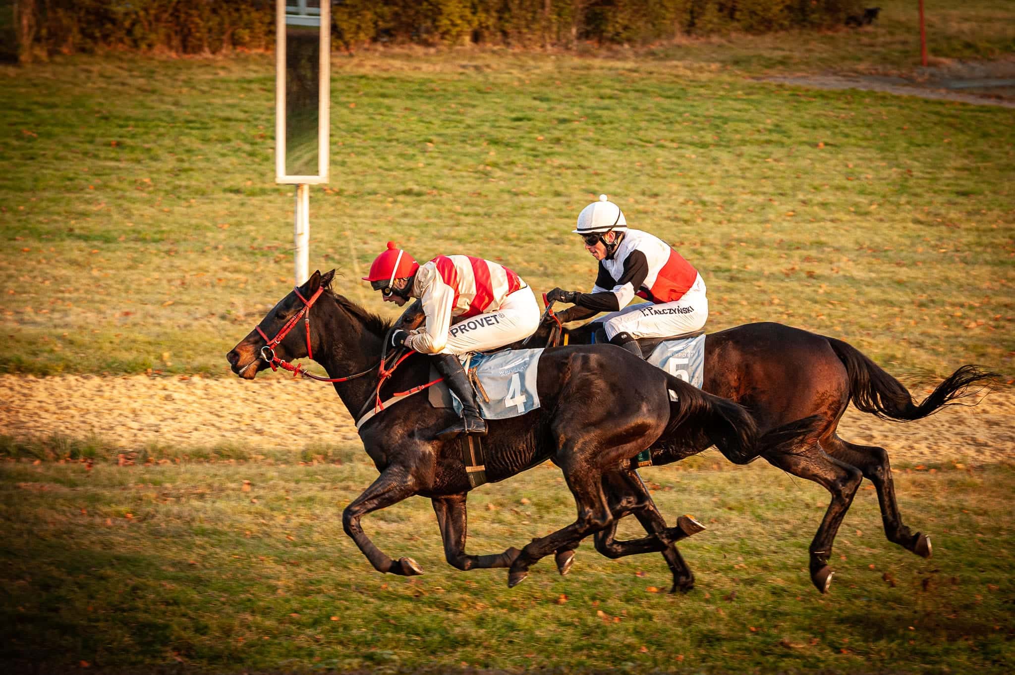img: Wielka Wrocławska i Crystal Cup na celowniku Cosmic Magic