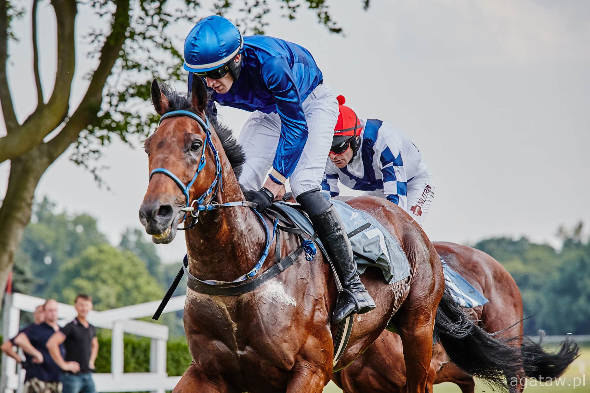 img: Carlito w Mediolanie zadebiutuje w stiplu