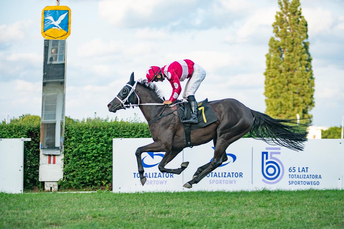 img: Hyderabadi i Sharm El Sheikh w roli faworytów