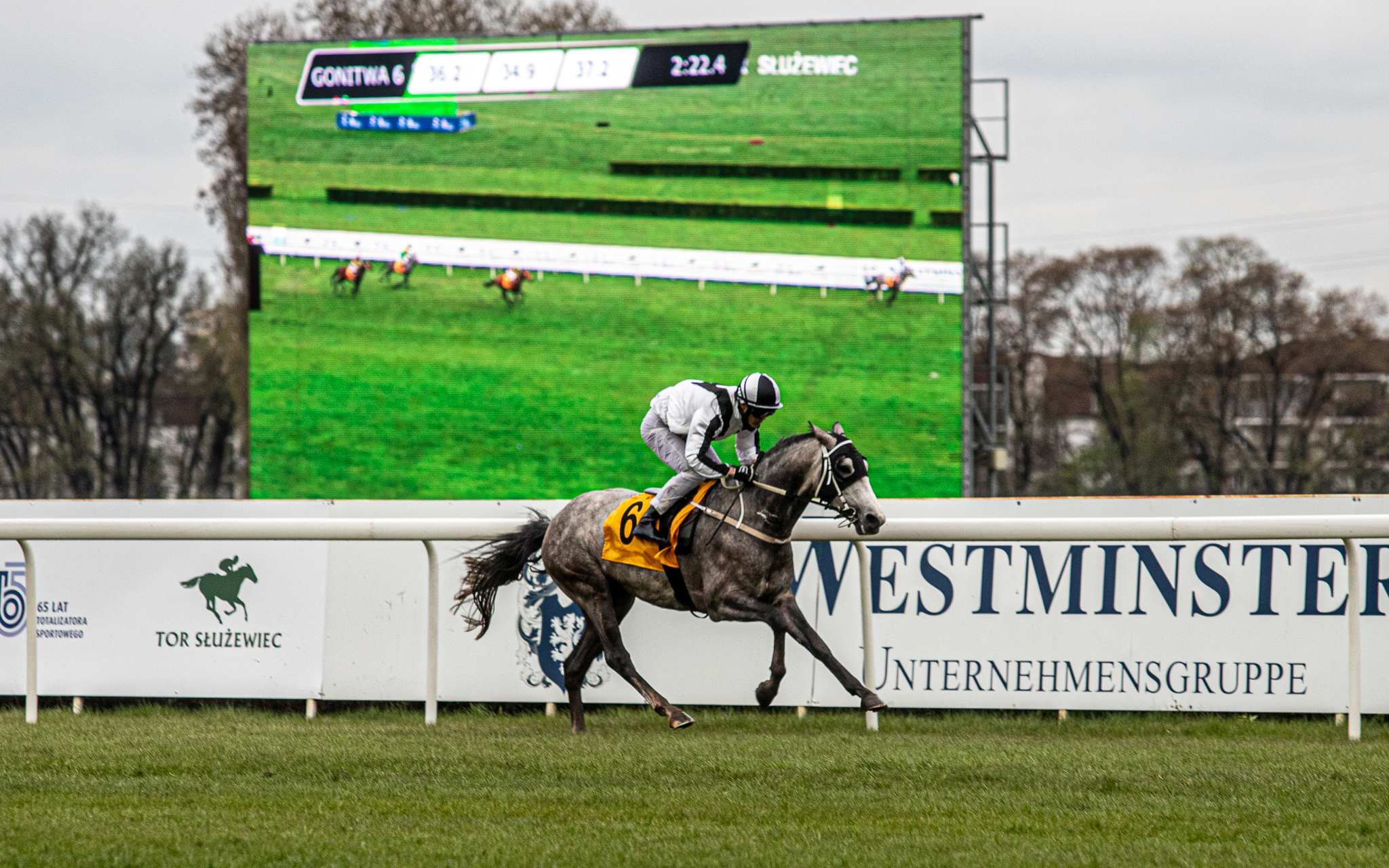 img: Mayar Al Khalediah w Nagrodzie Cometa