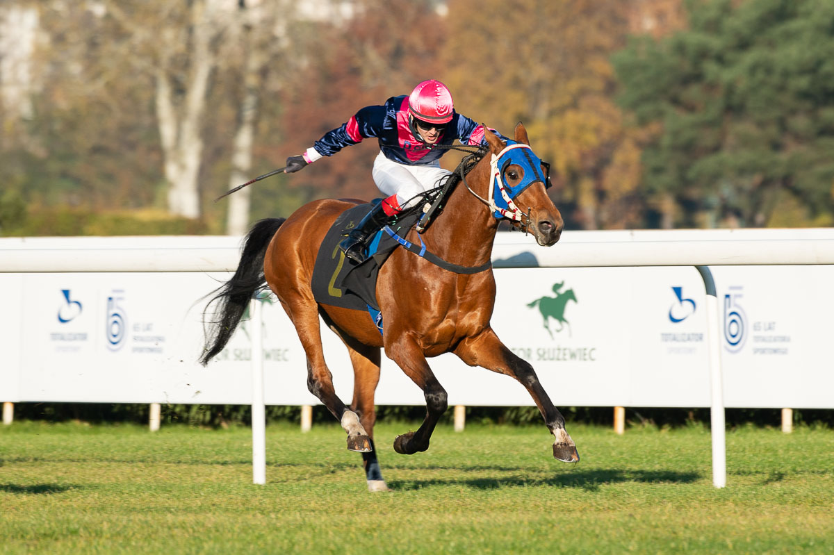 img: Sharm El Sheikh nie zawiódł w roli faworyta