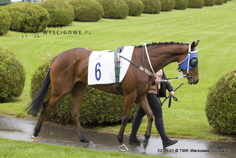 img: Wielkanocne wyścigi w Berlinie: Wedding Ring i Guitar Man w gonitwach Listed