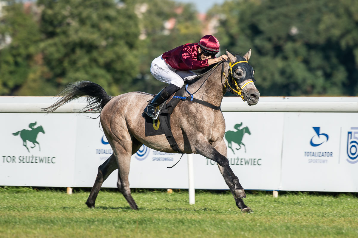 img: Endemol i Dragado w Memoriale Stanisława Sałagaja