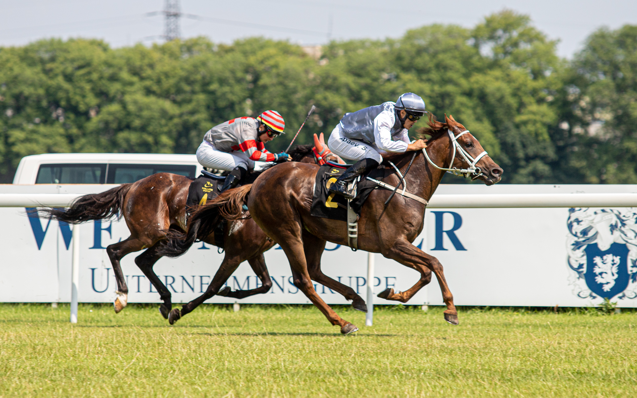 img: Cenne zwycięstwo partynickiej klaczy Hadjar