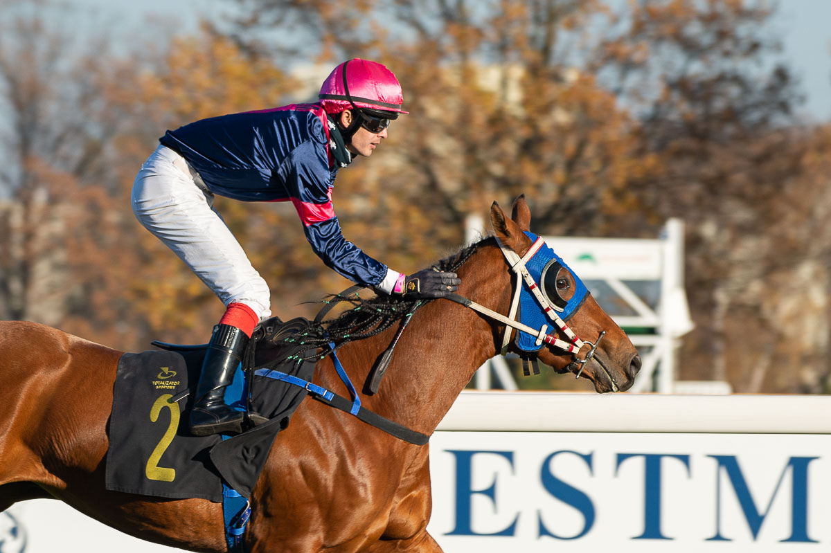 img: Sharm El Sheikh i Gensik w Nagrodzie Kabareta