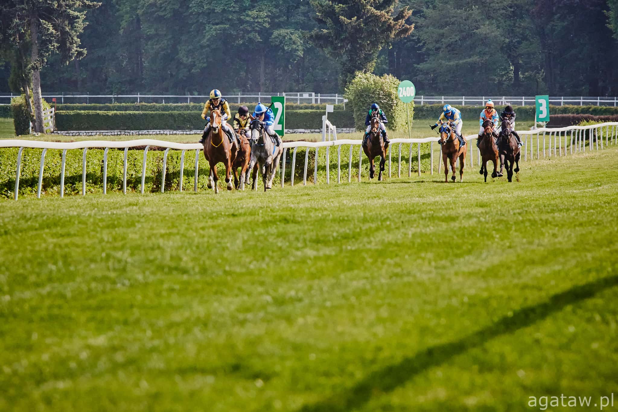 img: Służewiecka sobota: Amazonki rozpoczynają rywalizację