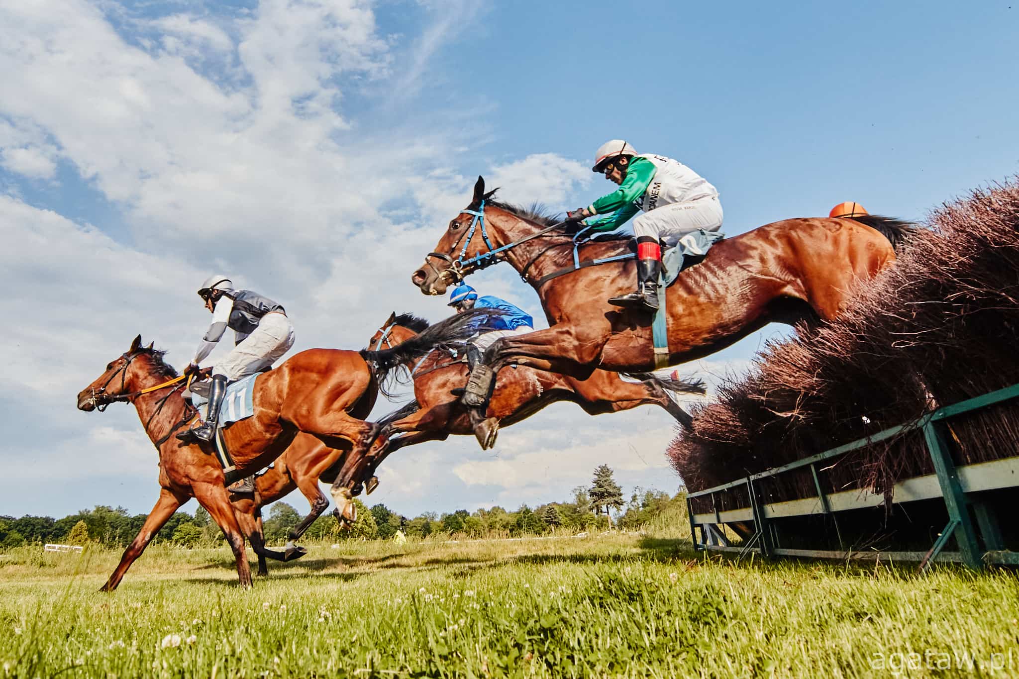 img: Drugie miejsce partynickiego jedynaka i płotowe zwycięstwa faworytów