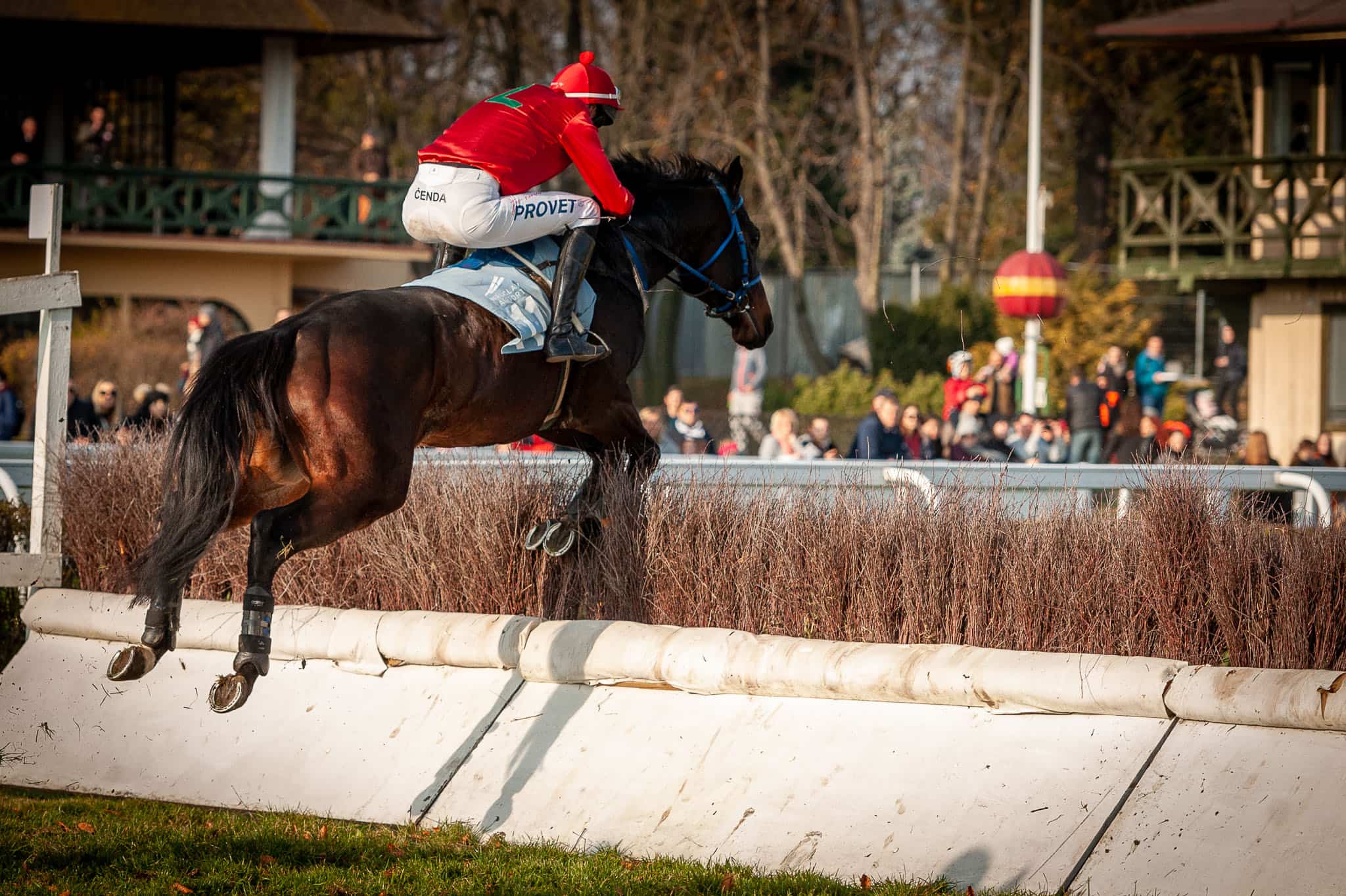 img: Z Partynic do Szwecji