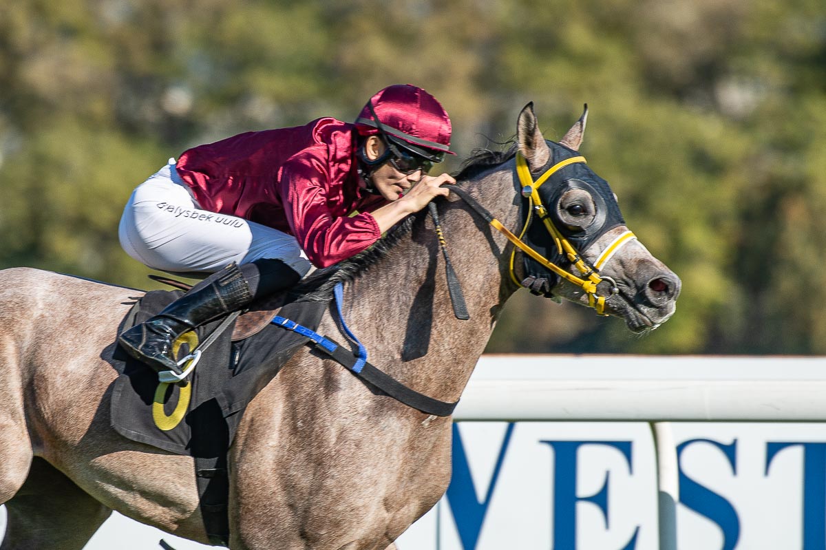 img: Partynicki uczestnik gonitwy dnia