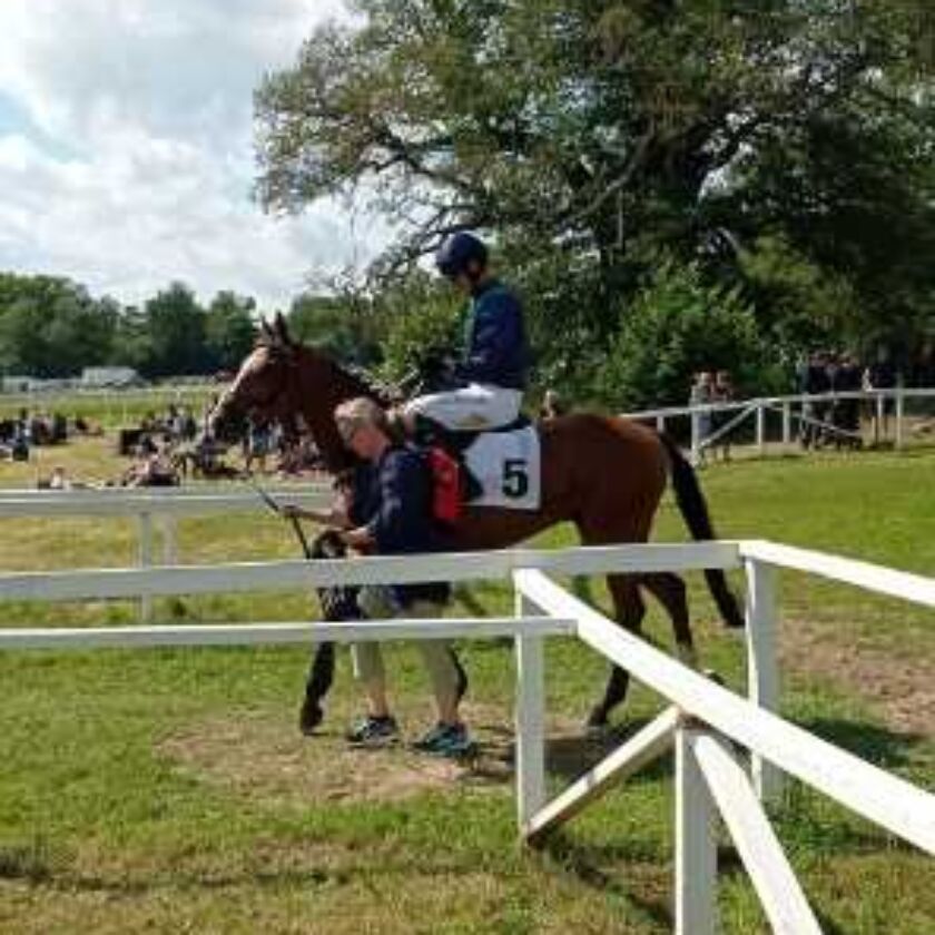 img: Partynickie konie ścigały się w Szwecji