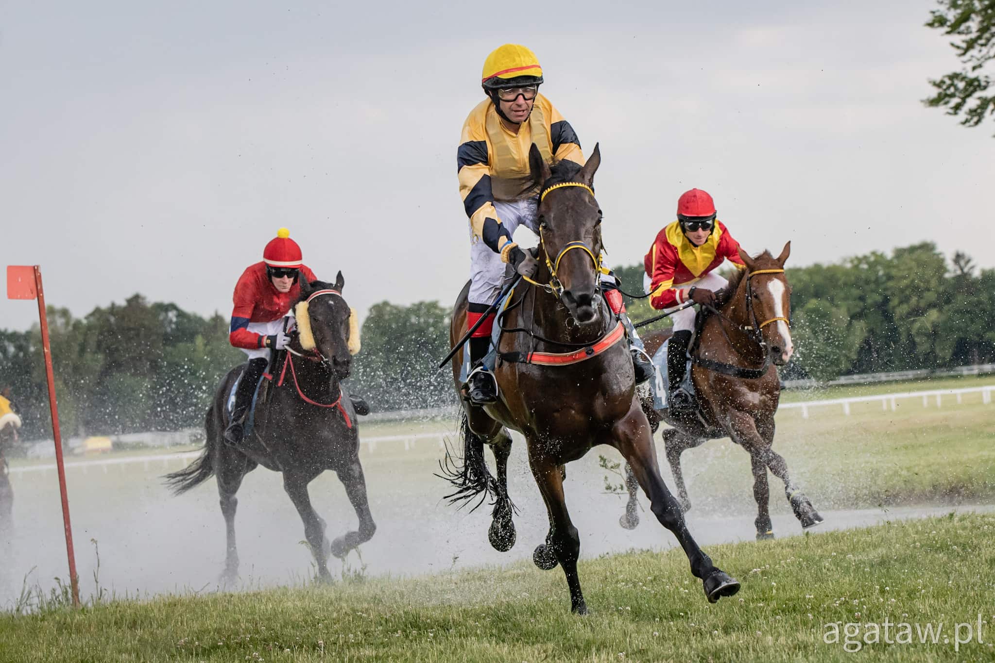 img: Reki nie dał rywalom szans