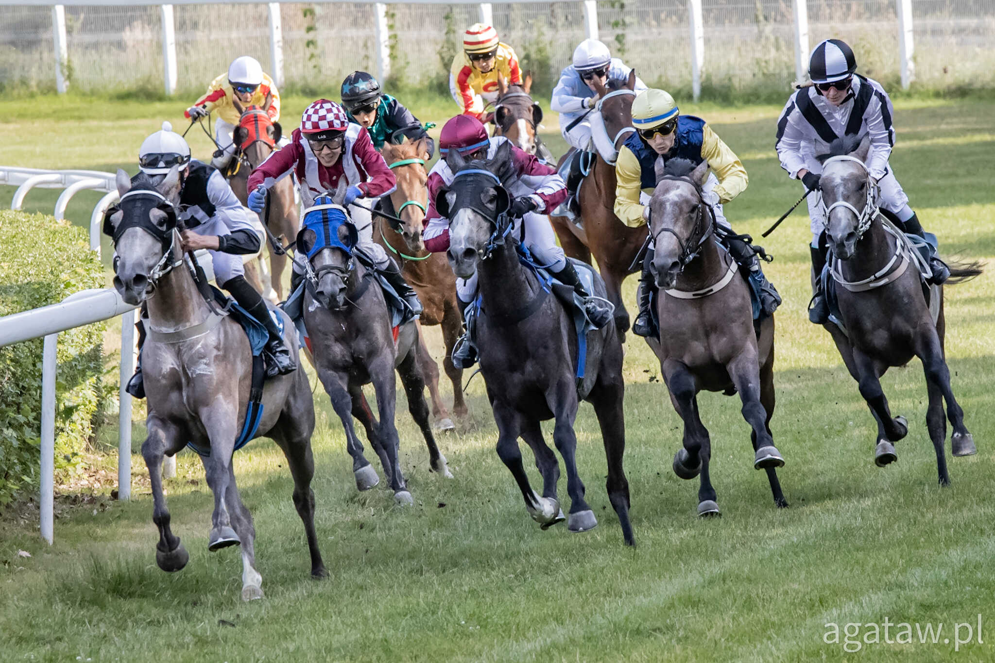 img: Sobota z niespodziankami