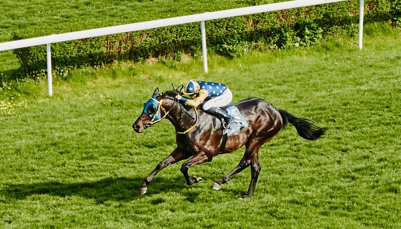 img: Partynickie konie w Derby: Le Destrier