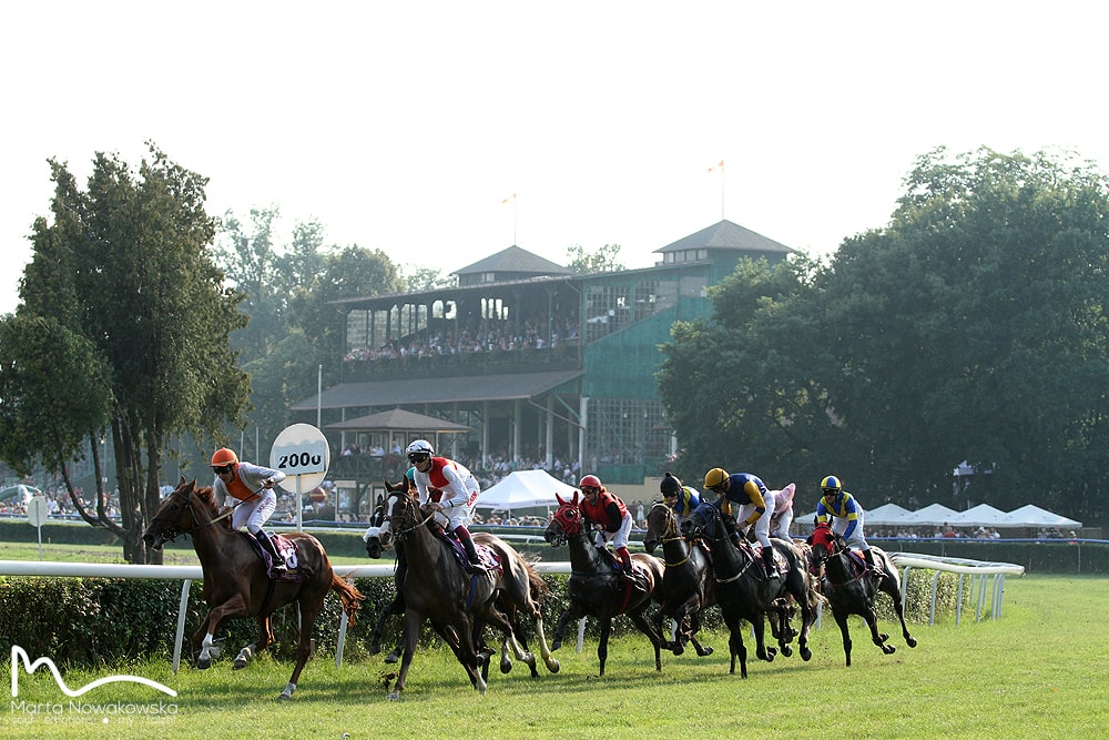 img: Konstelacja gwiazd na wrocławskim torze