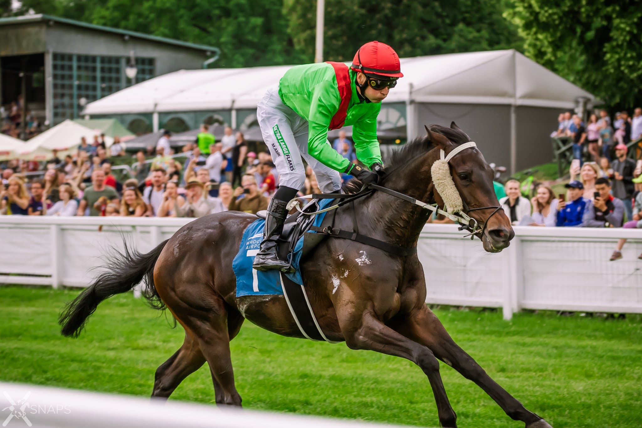 img: Partynickie konie w Derby: Saxon Way