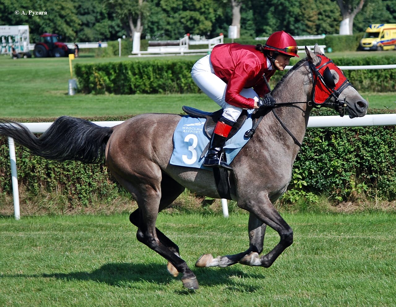 img: Derby Arabskie z Endemolem