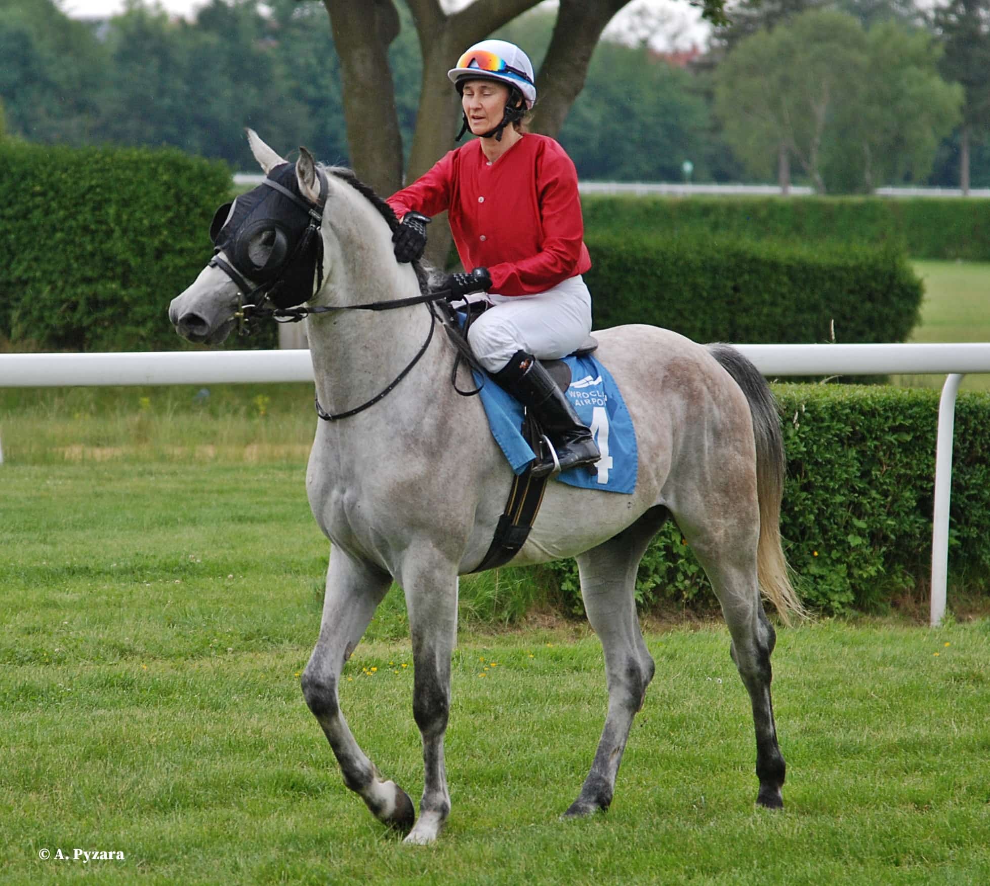 img: Zwycięski finisz na sopockim hipodromie