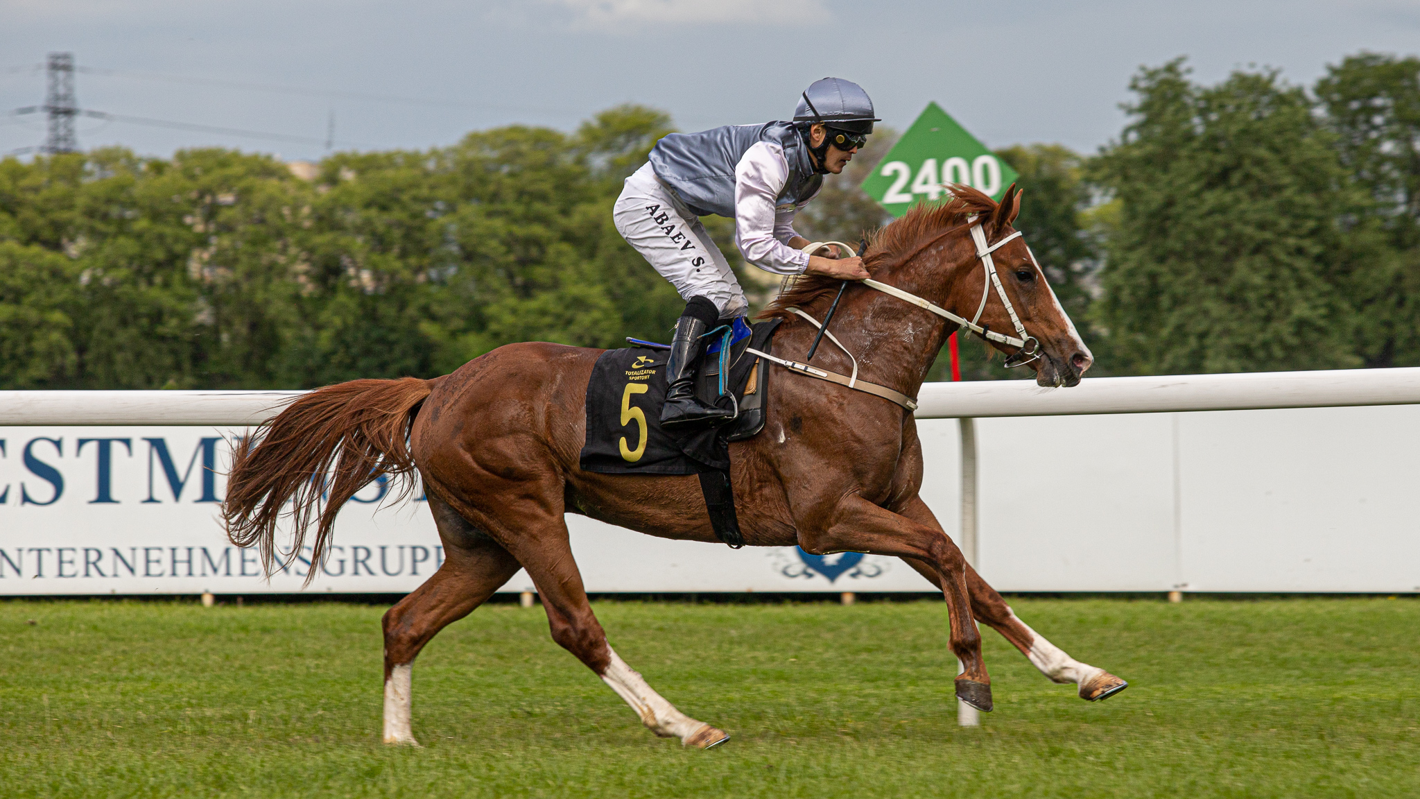 img: Trójka w Nagrodzie Europejczyka