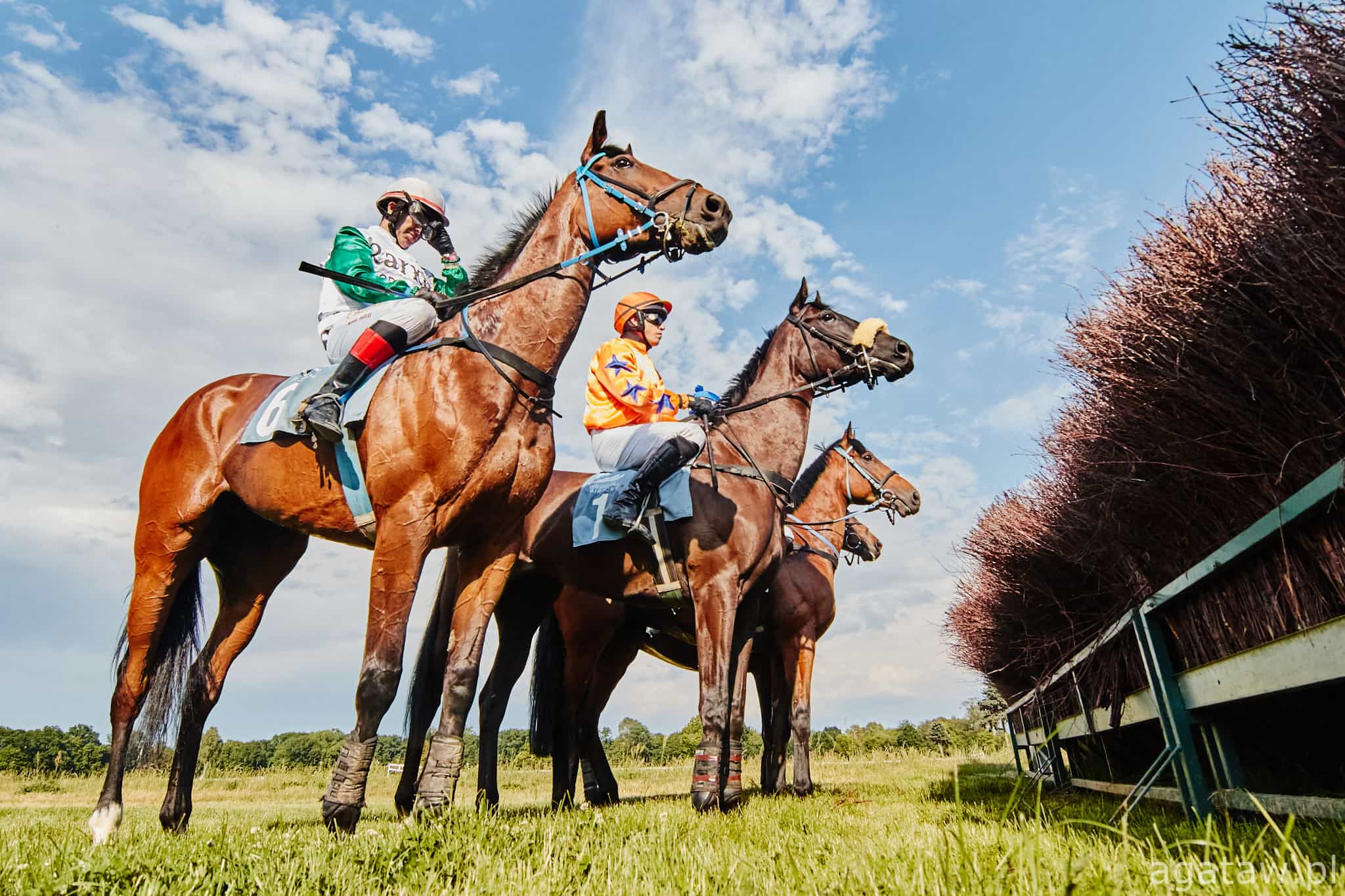 img: Będą się ścigać w Pardubicach