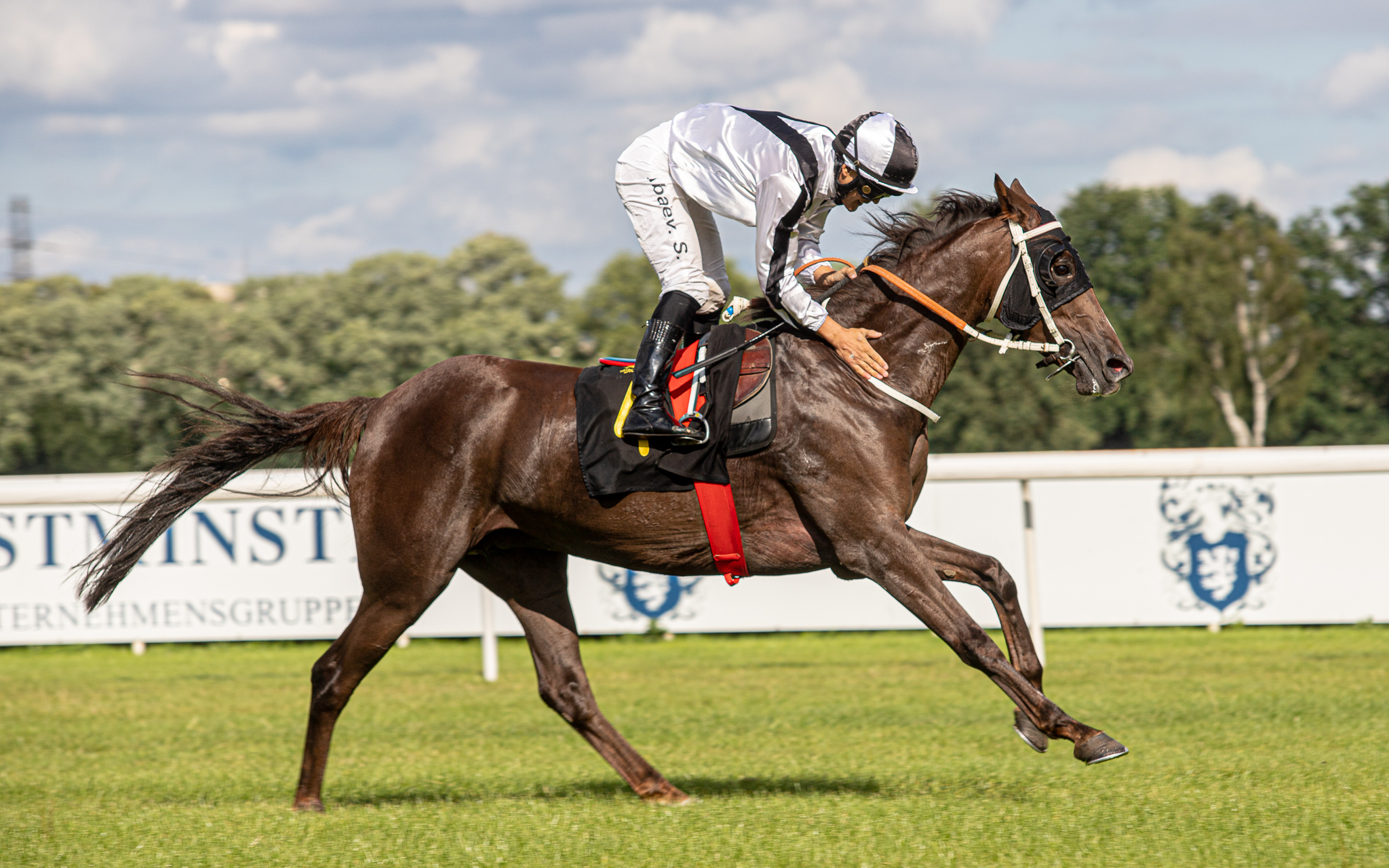 img: Partynickie araby na służewiecki mityng