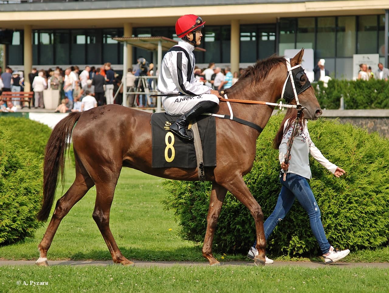 img: Wygrana także w niedzielę