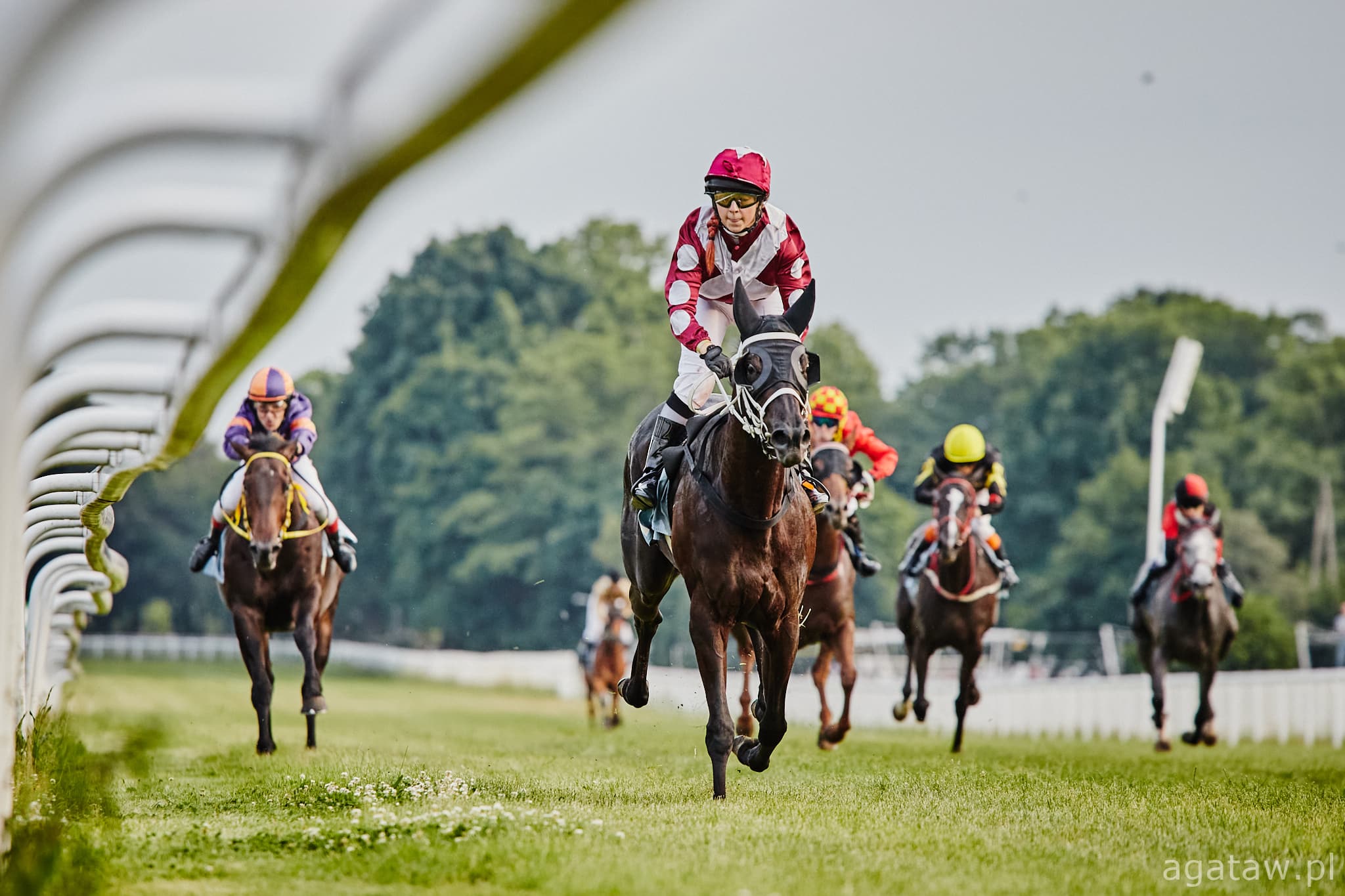 img: Dwa razy drugie miejsce