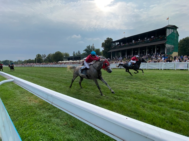 img: Snajper wygrywa handikap, Almoheeb najlepszym dwulatkiem