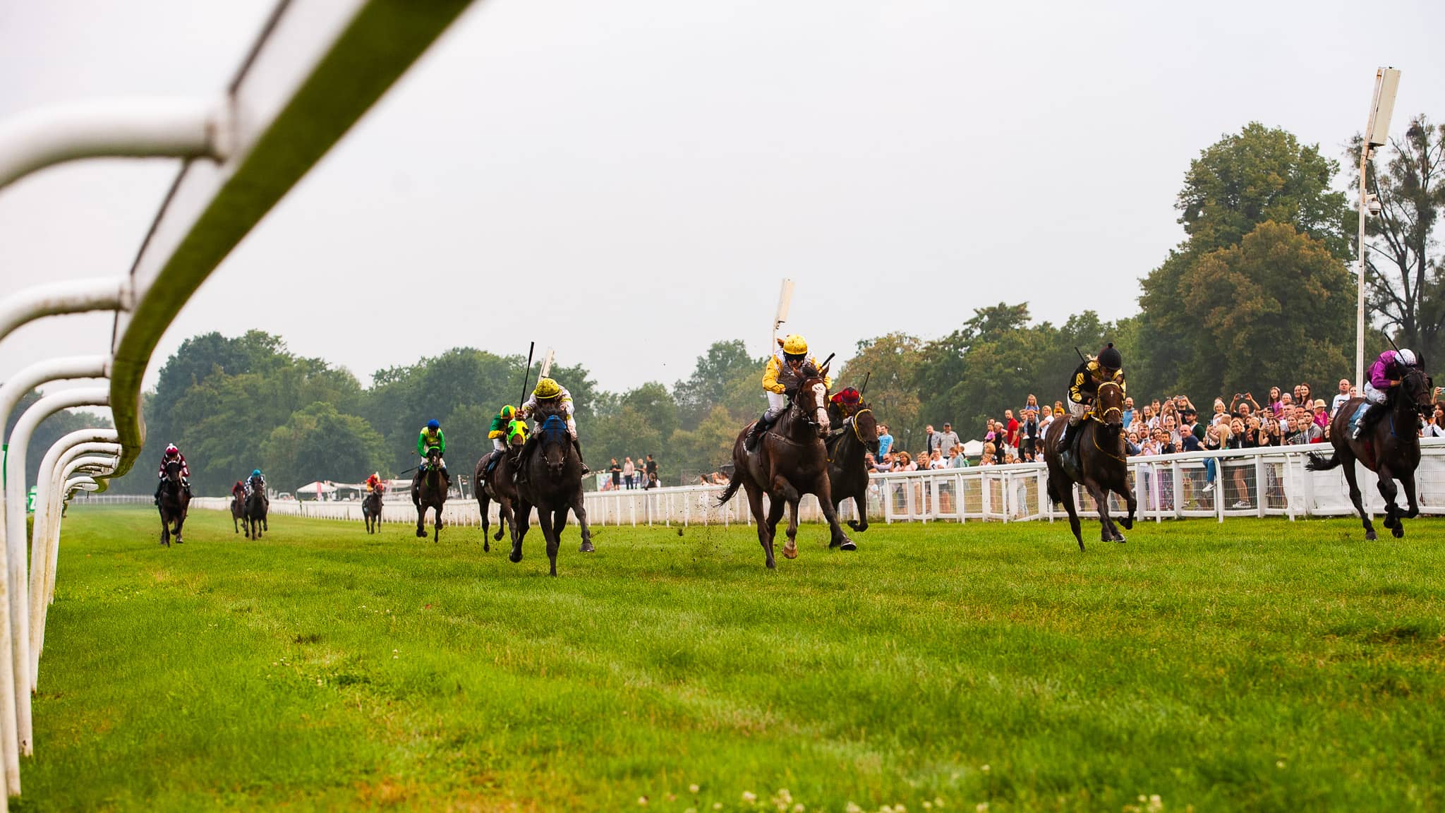 img: Drugie miejsce na Służewcu, czwarte w Dreźnie