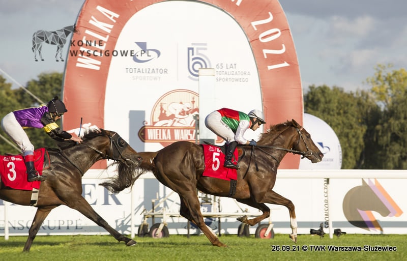 img: Wielka obsada Wielkiej Warszawskiej