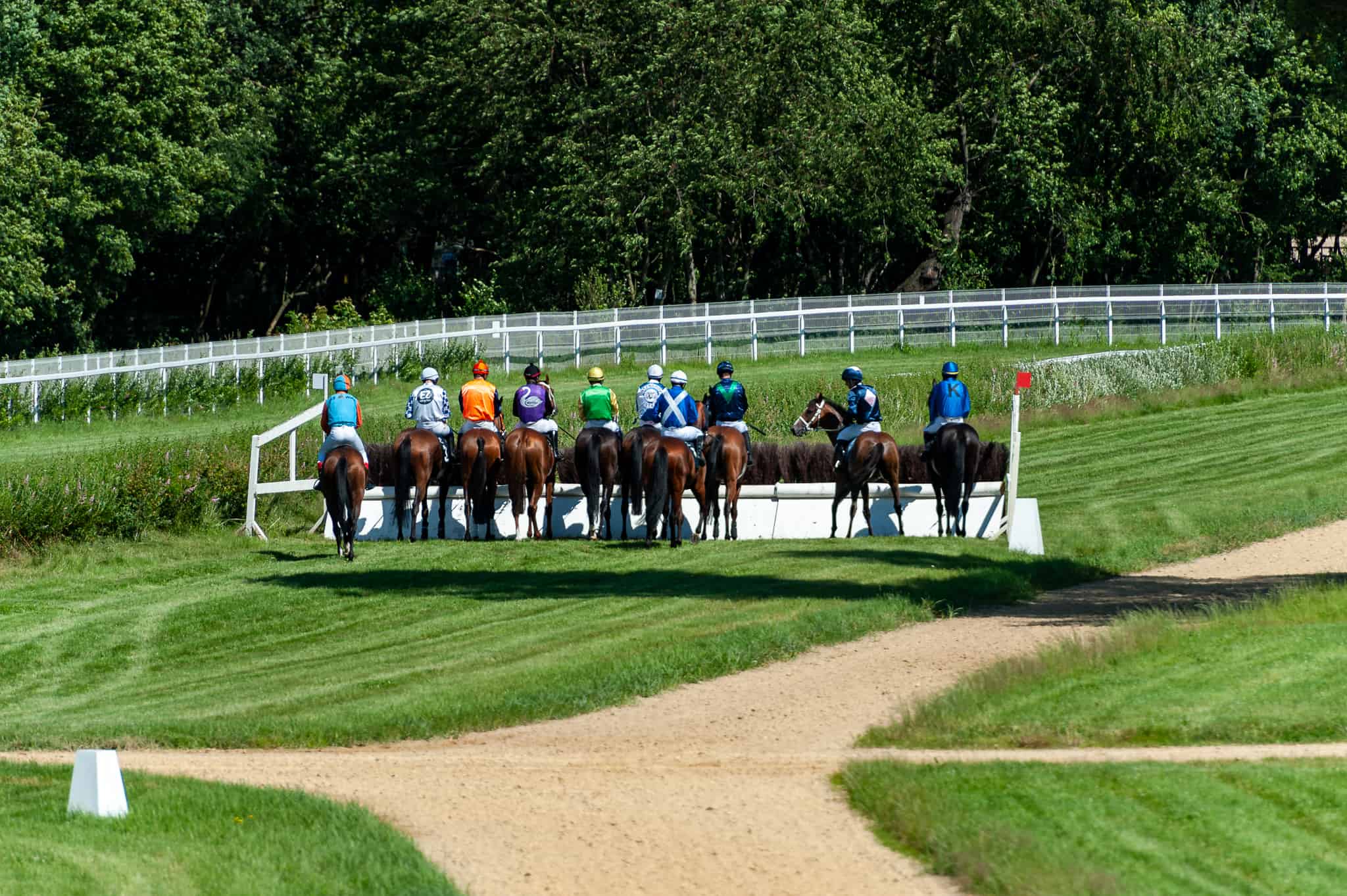 img: Gonitwa z płotami dla trzylatków pod patronatem Tunisa