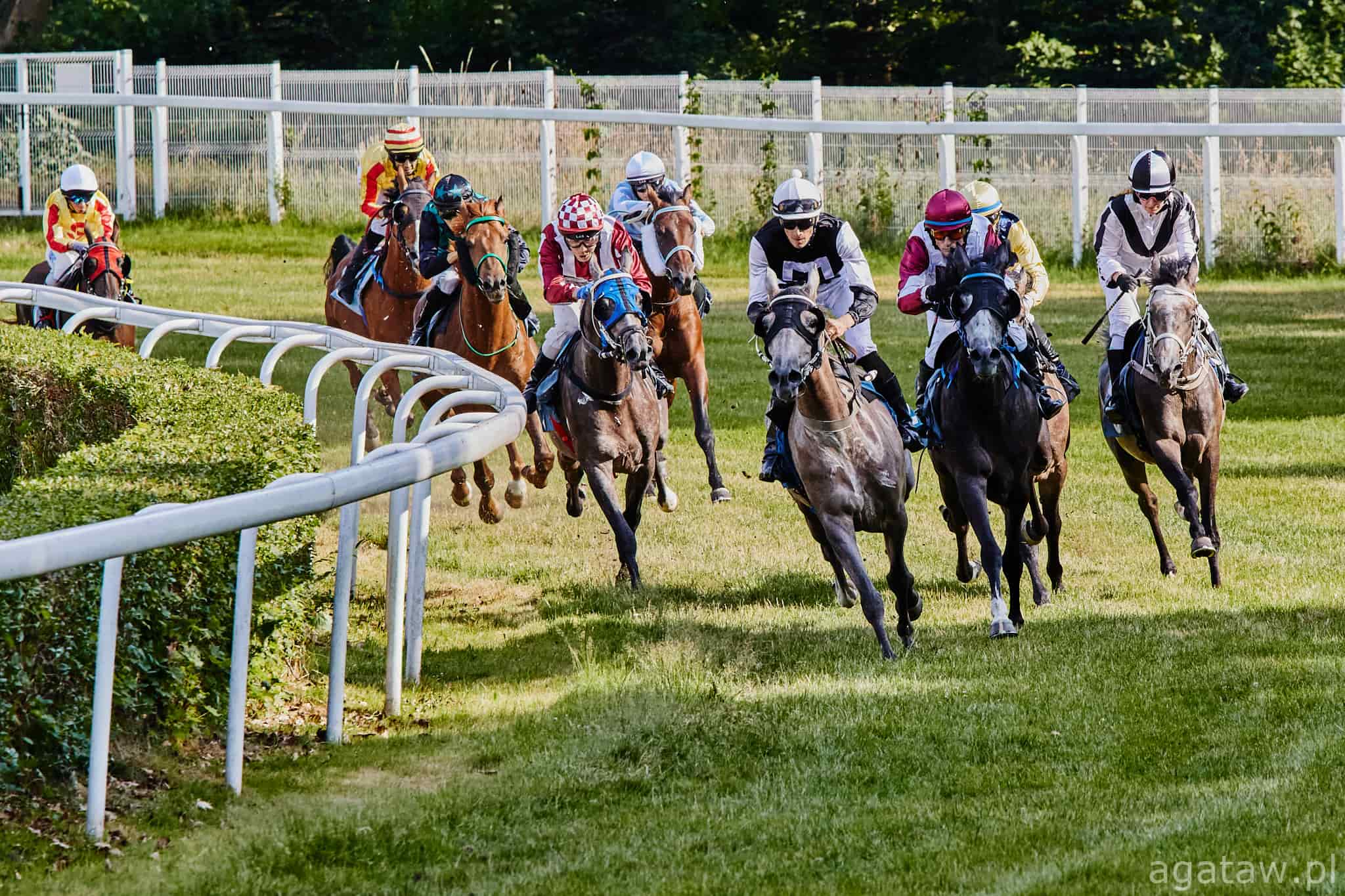 img: Służewieckie zwycięstwo Haruna RA