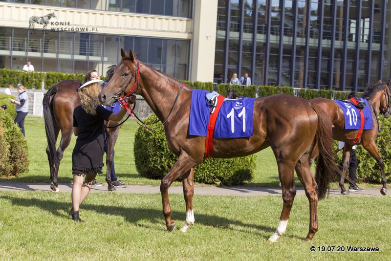 img: Night Tornado w G1 na ParisLongchamp