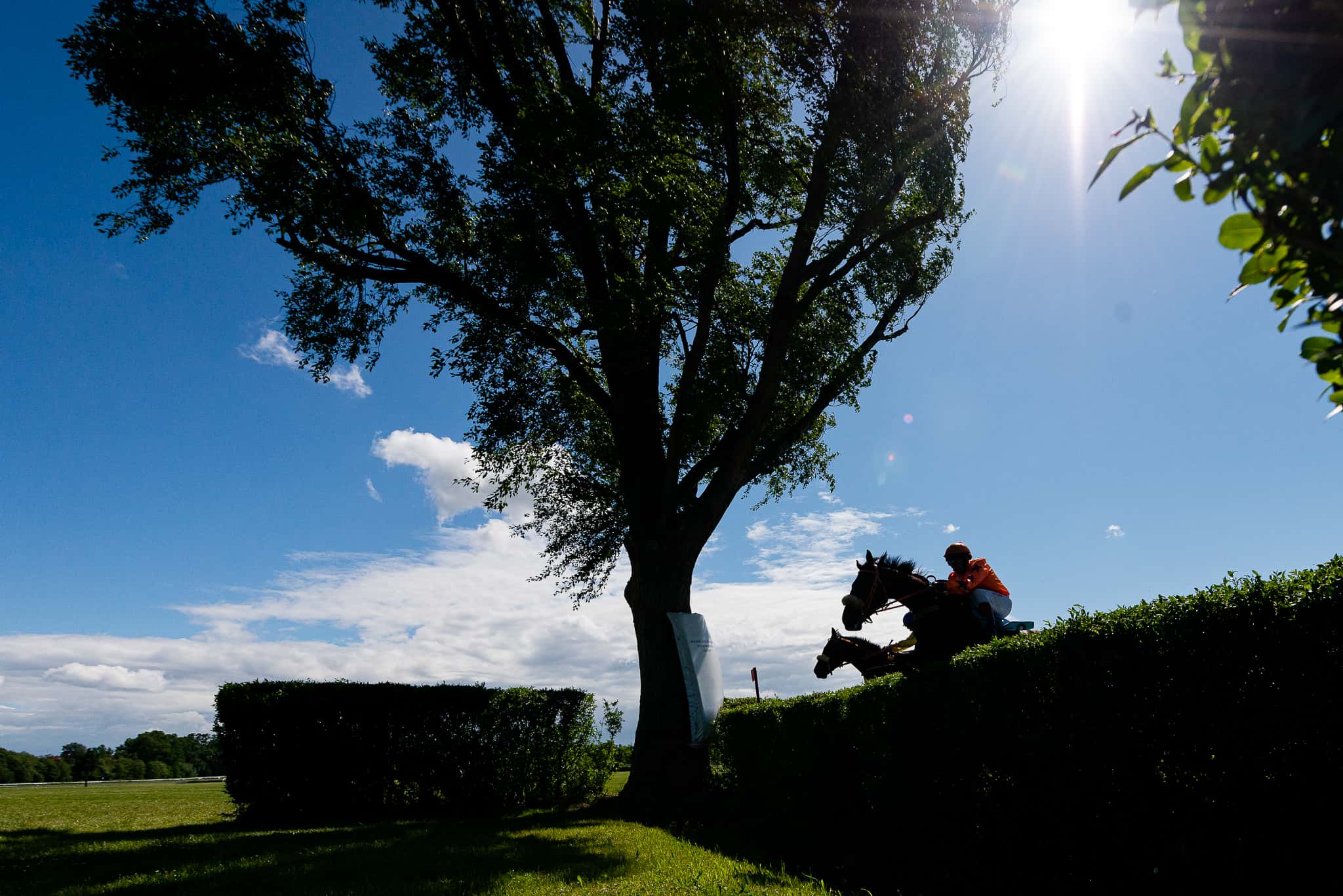 img: Wielką Pardubicką wygrał Mr Spex