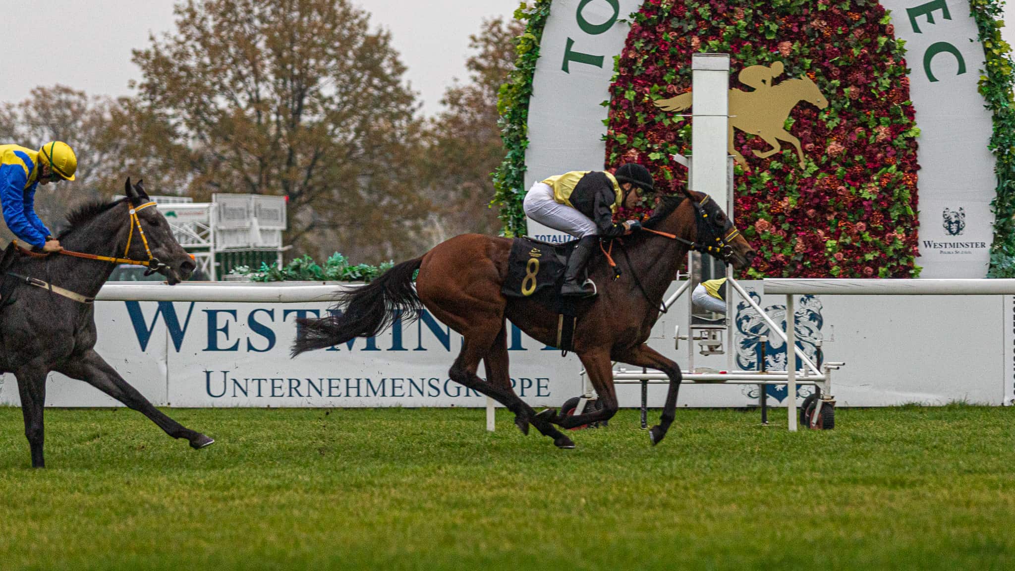 img: Sensacyjne zwycięstwo Zanzy na Służewcu