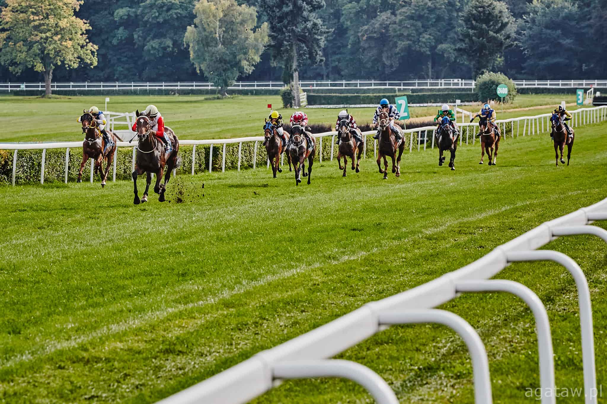 img: Jolly Jumper siódmy we Francji